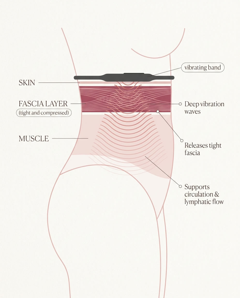 The fascia mechanism